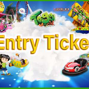 Entry Ticket